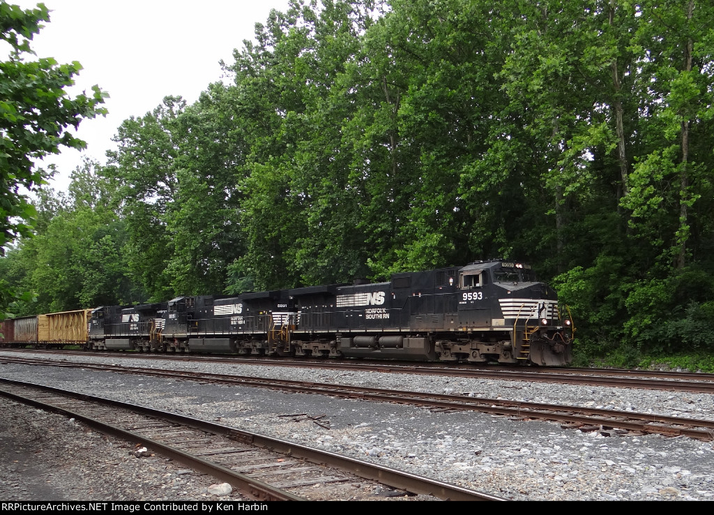 NS 9593 leads H76